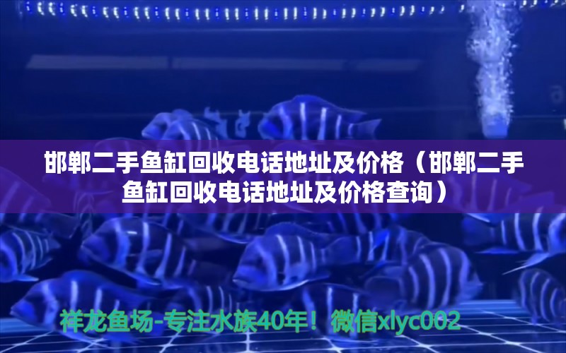 邯郸二手鱼缸回收电话地址及价格（邯郸二手鱼缸回收电话地址及价格查询）