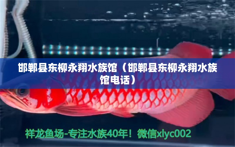 邯郸县东柳永翔水族馆（邯郸县东柳永翔水族馆电话）