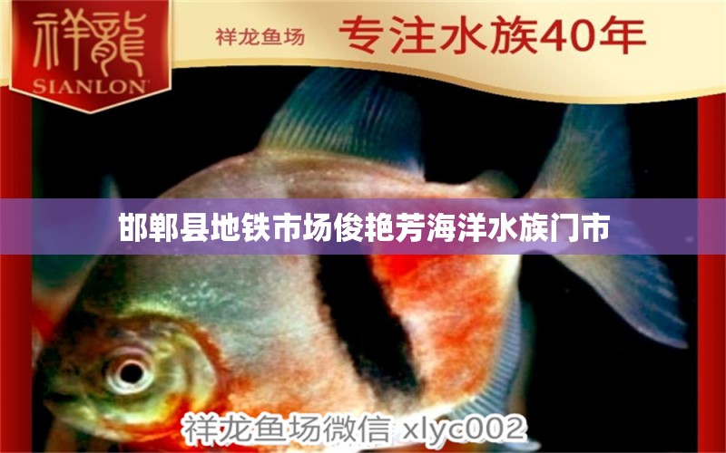 邯郸县地铁市场俊艳芳海洋水族门市 全国水族馆企业名录