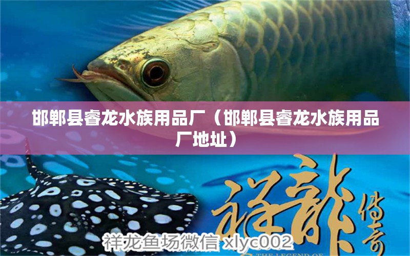 邯郸县睿龙水族用品厂（邯郸县睿龙水族用品厂地址）