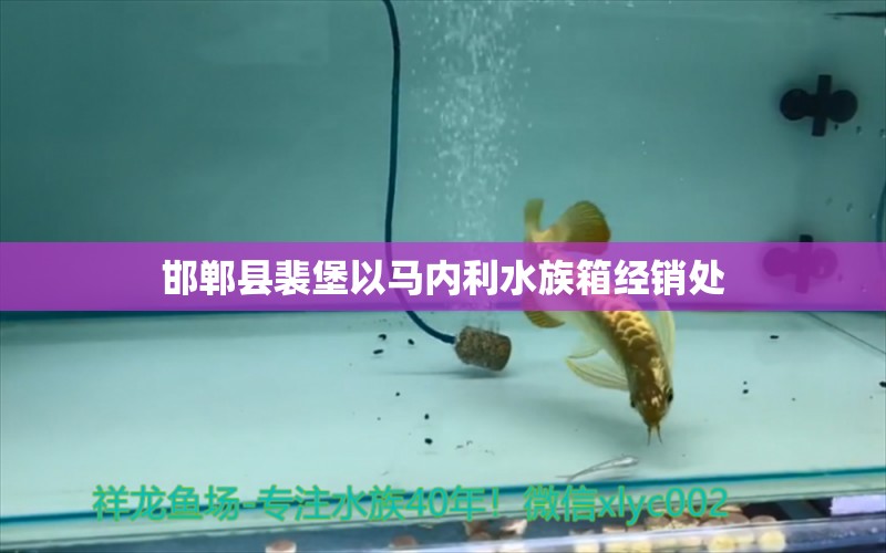 邯郸县裴堡以马内利水族箱经销处