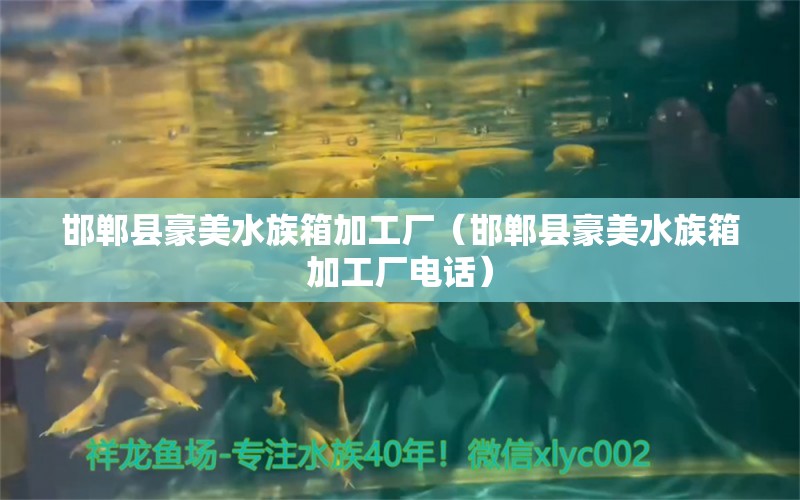 邯郸县豪美水族箱加工厂（邯郸县豪美水族箱加工厂电话）