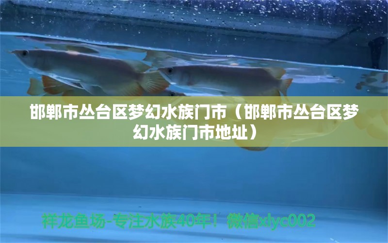 邯郸市丛台区梦幻水族门市（邯郸市丛台区梦幻水族门市地址） 全国水族馆企业名录