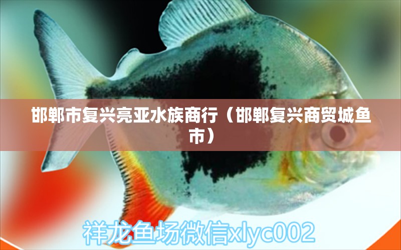 邯郸市复兴亮亚水族商行（邯郸复兴商贸城鱼市）