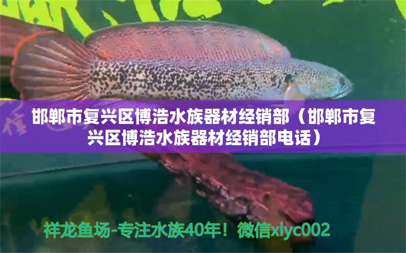 邯郸市复兴区博浩水族器材经销部（邯郸市复兴区博浩水族器材经销部电话）