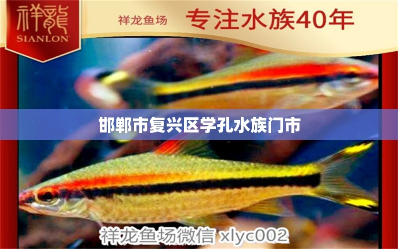 邯郸市复兴区学孔水族门市 全国水族馆企业名录