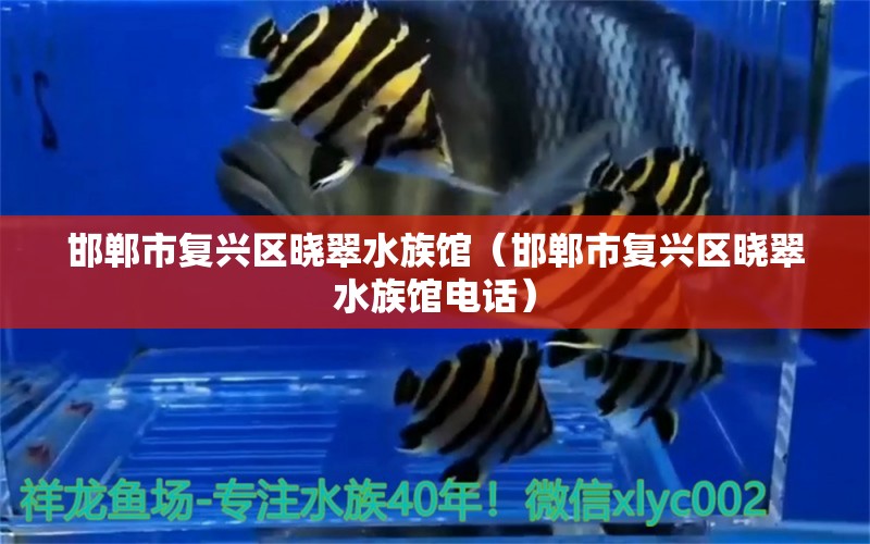 邯郸市复兴区晓翠水族馆（邯郸市复兴区晓翠水族馆电话） 全国水族馆企业名录