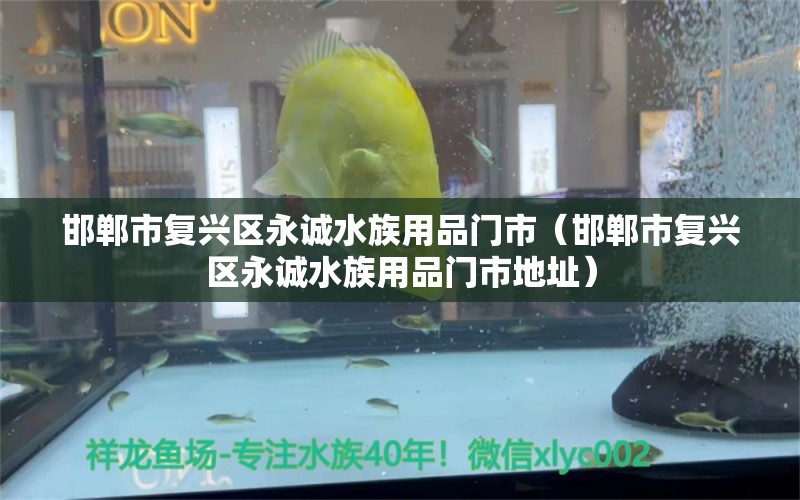 邯郸市复兴区永诚水族用品门市（邯郸市复兴区永诚水族用品门市地址） 水族用品