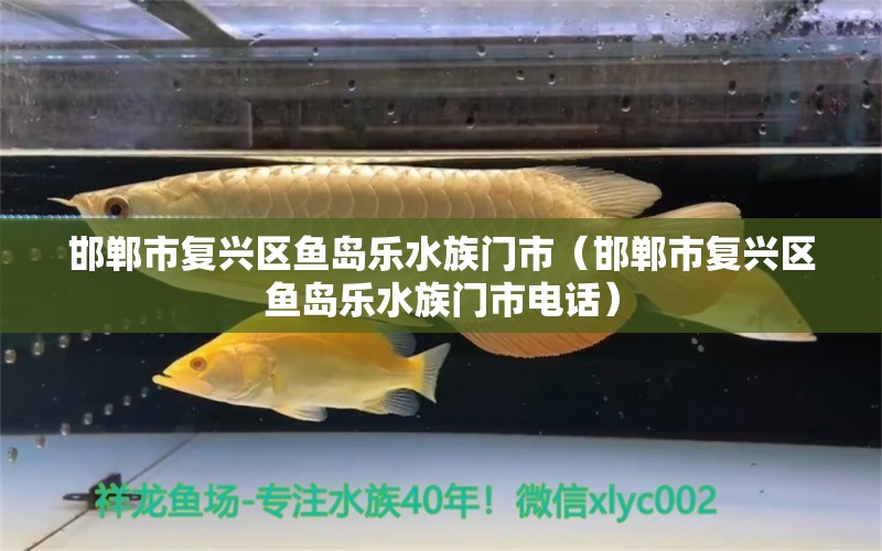 邯郸市复兴区鱼岛乐水族门市（邯郸市复兴区鱼岛乐水族门市电话）