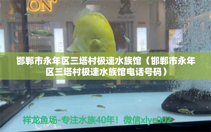 邯郸市永年区三塔村极速水族馆（邯郸市永年区三塔村极速水族馆电话号码）