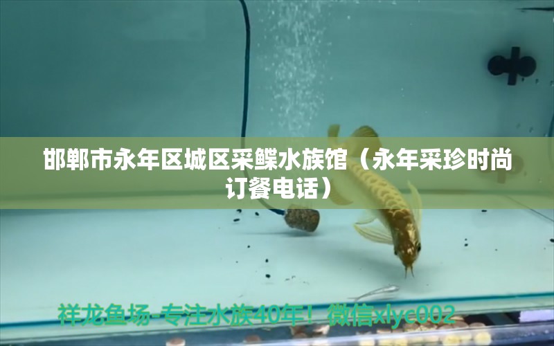 邯郸市永年区城区采鲽水族馆（永年采珍时尚订餐电话） 全国水族馆企业名录