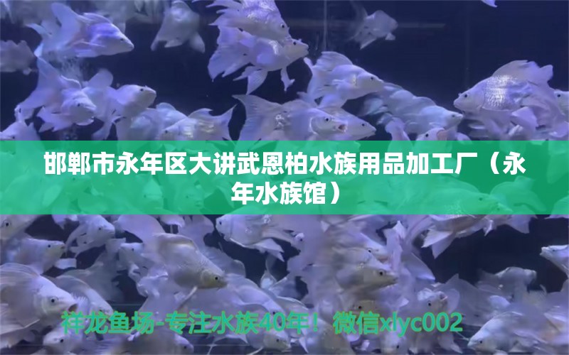 邯郸市永年区大讲武恩柏水族用品加工厂（永年水族馆） 水族用品