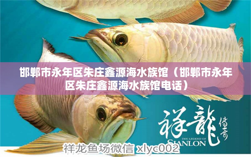 邯郸市永年区朱庄鑫源海水族馆（邯郸市永年区朱庄鑫源海水族馆电话）