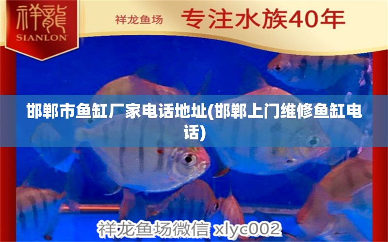 邯郸市鱼缸厂家电话地址(邯郸上门维修鱼缸电话) 广州水族器材滤材批发市场