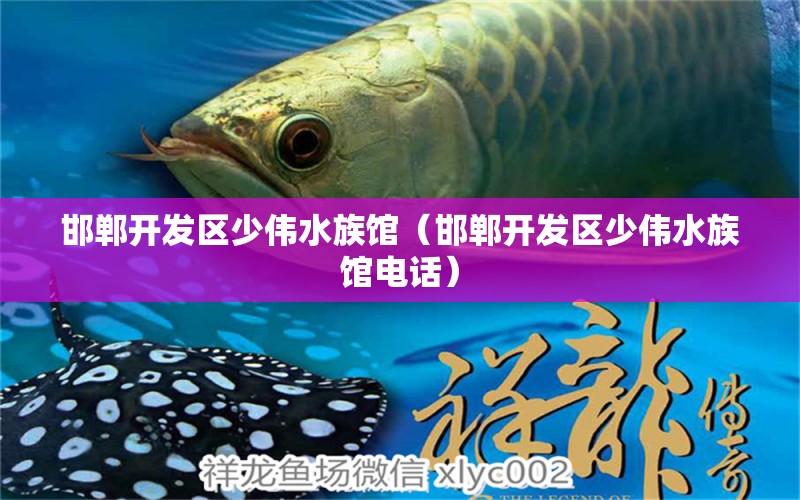 邯郸开发区少伟水族馆（邯郸开发区少伟水族馆电话）