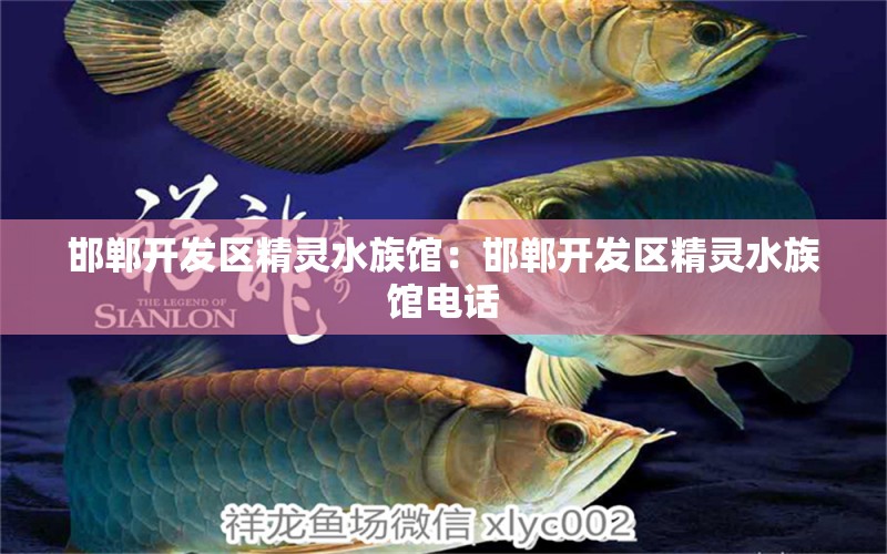 邯郸开发区精灵水族馆：邯郸开发区精灵水族馆电话