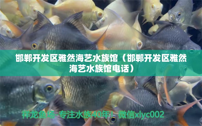 邯郸开发区雅然海艺水族馆（邯郸开发区雅然海艺水族馆电话）