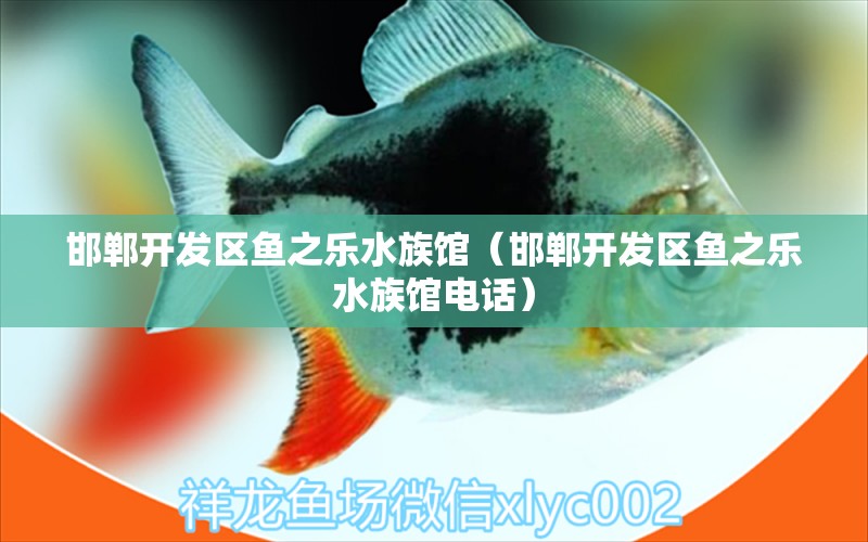 邯郸开发区鱼之乐水族馆（邯郸开发区鱼之乐水族馆电话）