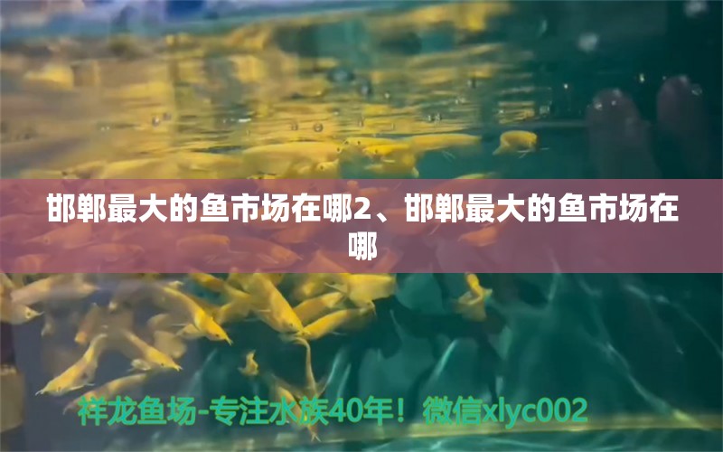 邯郸最大的鱼市场在哪2、邯郸最大的鱼市场在哪