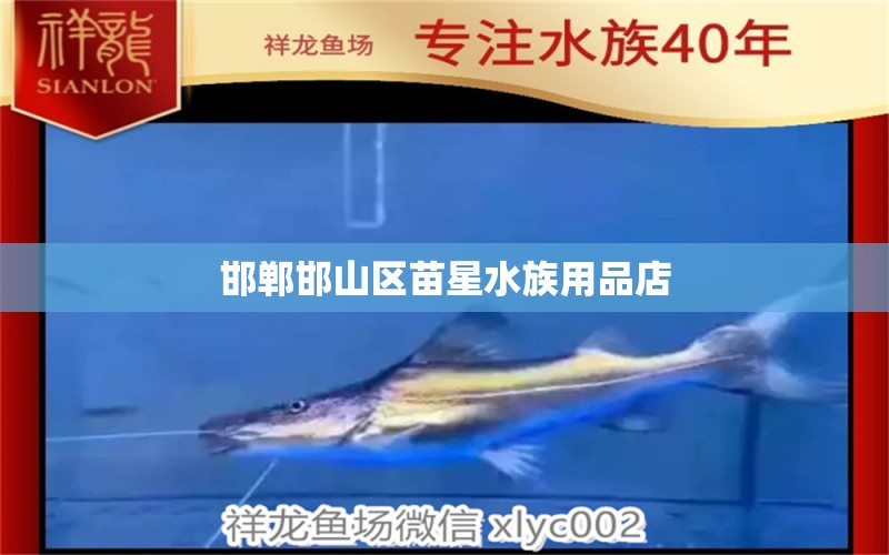 邯郸邯山区苗星水族用品店 全国水族馆企业名录