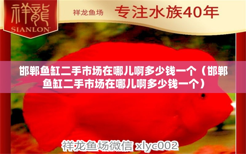 邯郸鱼缸二手市场在哪儿啊多少钱一个（邯郸鱼缸二手市场在哪儿啊多少钱一个） 量子养鱼技术