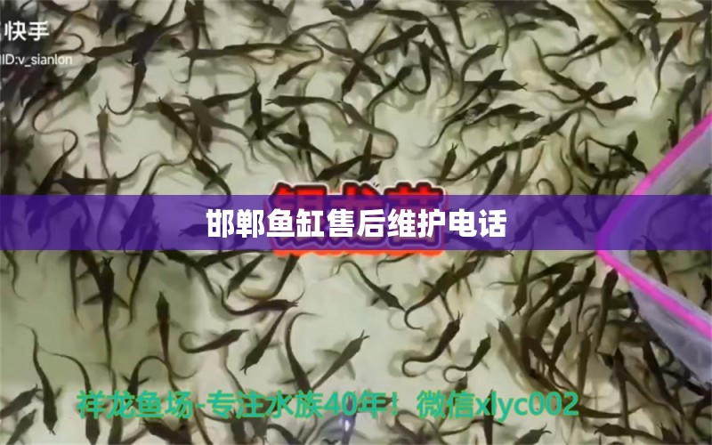 邯郸鱼缸售后维护电话 其他品牌鱼缸