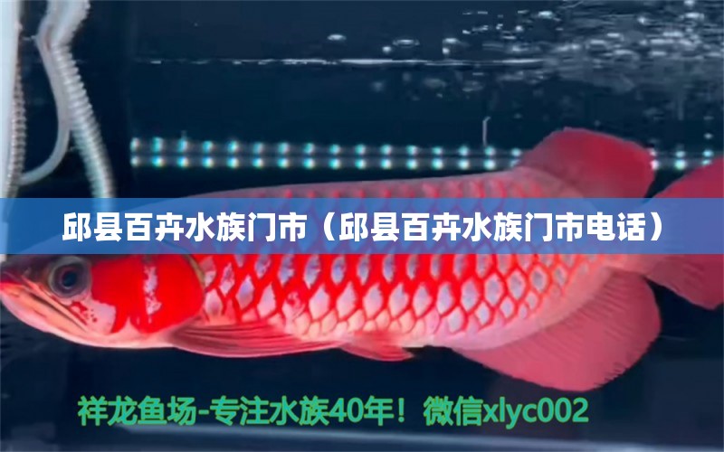 邱县百卉水族门市（邱县百卉水族门市电话）