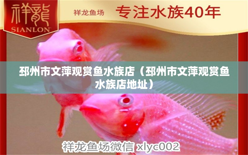 邳州市文萍观赏鱼水族店（邳州市文萍观赏鱼水族店地址） 全国水族馆企业名录