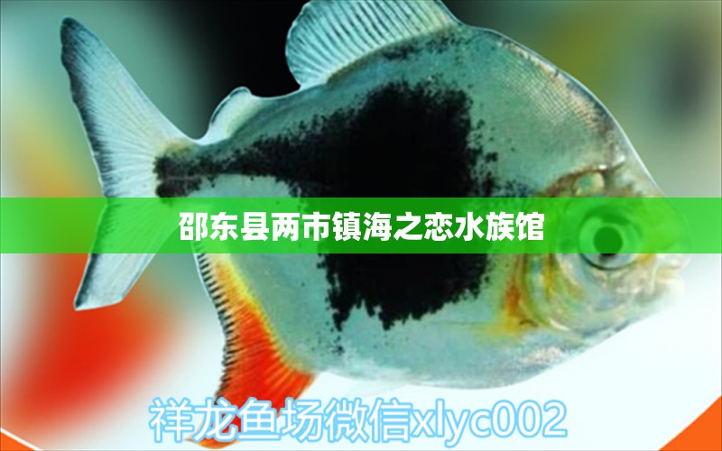 邵东县两市镇海之恋水族馆