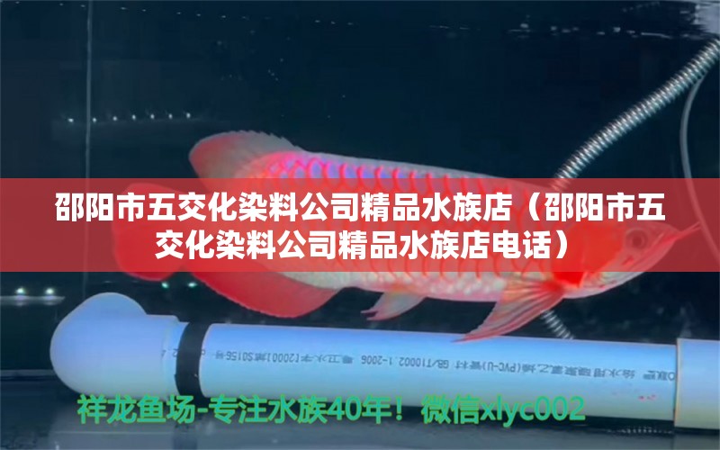 邵阳市五交化染料公司精品水族店（邵阳市五交化染料公司精品水族店电话）