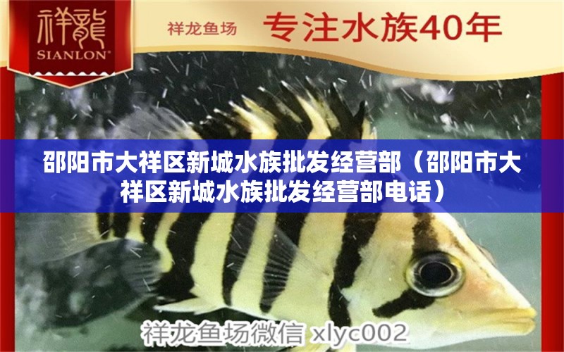 邵阳市大祥区新城水族批发经营部（邵阳市大祥区新城水族批发经营部电话）