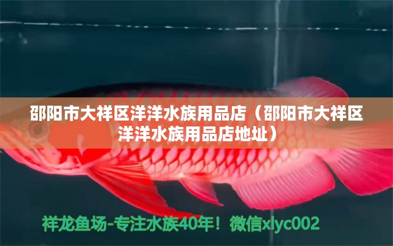 邵阳市大祥区洋洋水族用品店（邵阳市大祥区洋洋水族用品店地址）