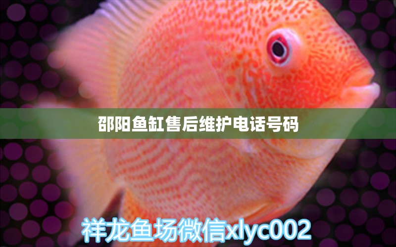 邵阳鱼缸售后维护电话号码 其他品牌鱼缸