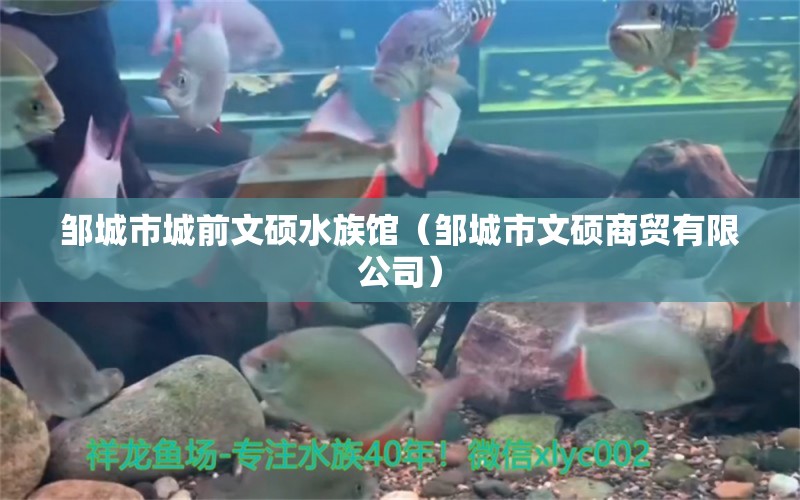 邹城市城前文硕水族馆（邹城市文硕商贸有限公司） 全国水族馆企业名录