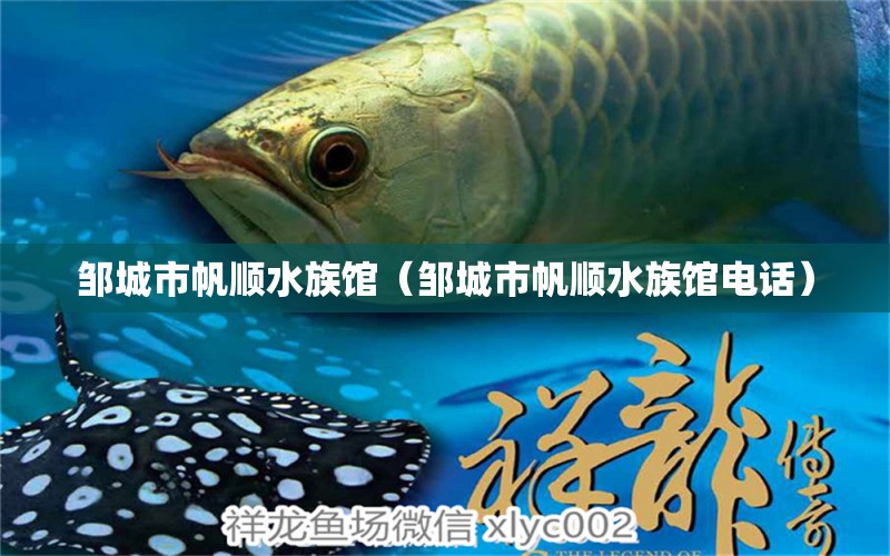 邹城市帆顺水族馆（邹城市帆顺水族馆电话） 全国水族馆企业名录