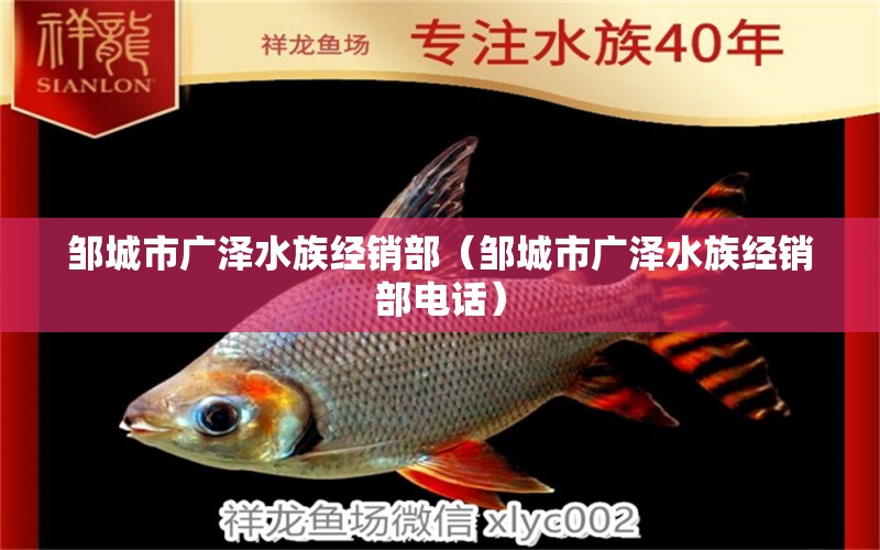 邹城市广泽水族经销部（邹城市广泽水族经销部电话） 全国水族馆企业名录