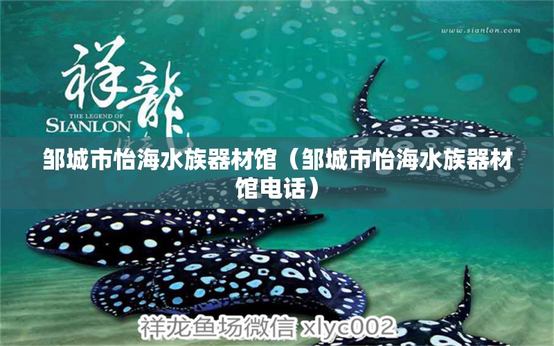 邹城市怡海水族器材馆（邹城市怡海水族器材馆电话） 全国水族馆企业名录