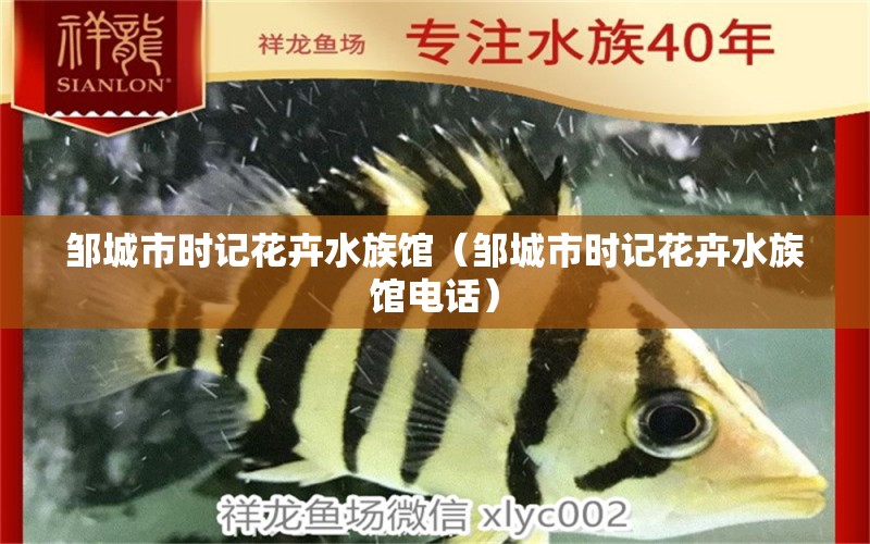 邹城市时记花卉水族馆（邹城市时记花卉水族馆电话） 全国水族馆企业名录