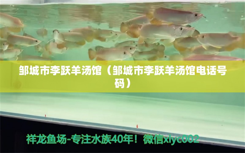 邹城市李跃羊汤馆（邹城市李跃羊汤馆电话号码） 全国水族馆企业名录