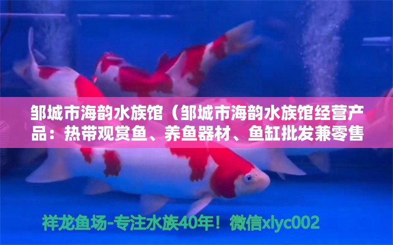 邹城市海韵水族馆（邹城市海韵水族馆经营产品：热带观赏鱼、养鱼器材、鱼缸批发兼零售）