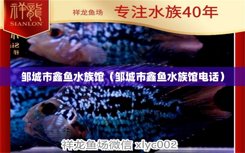 邹城市鑫鱼水族馆（邹城市鑫鱼水族馆电话） 全国水族馆企业名录