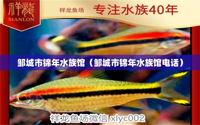 邹城市锦年水族馆（邹城市锦年水族馆电话）