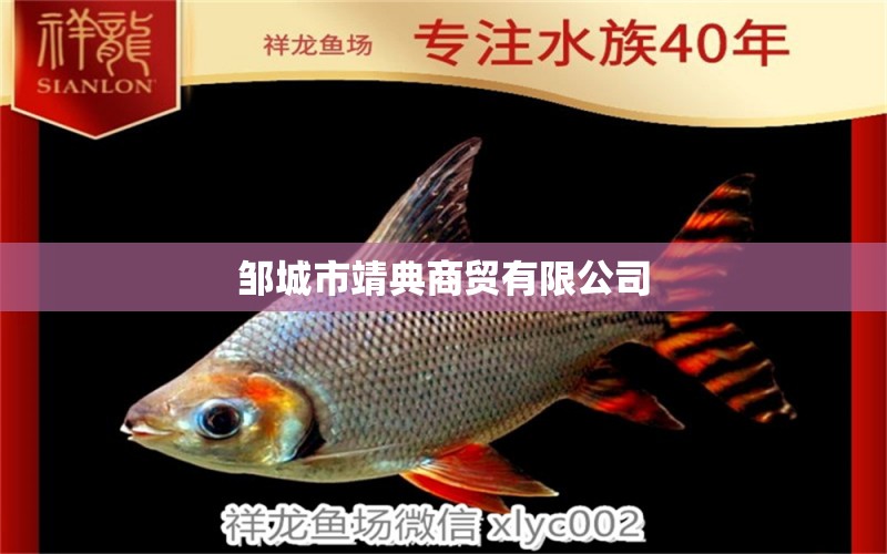 邹城市靖典商贸有限公司 全国水族馆企业名录 第1张