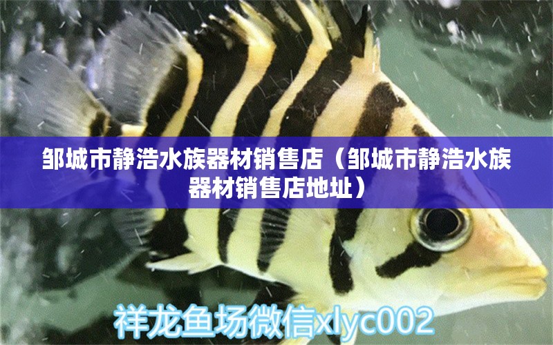 邹城市静浩水族器材销售店（邹城市静浩水族器材销售店地址） 全国水族馆企业名录