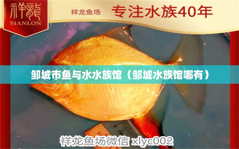 邹城市鱼与水水族馆（邹城水族馆哪有） 全国水族馆企业名录