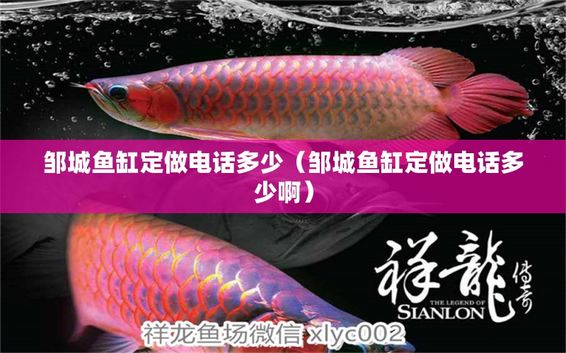 邹城鱼缸定做电话多少（邹城鱼缸定做电话多少啊） 祥龙水族医院