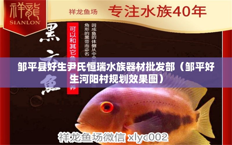 邹平县好生尹氏恒瑞水族器材批发部（邹平好生河阳村规划效果图） 全国水族馆企业名录