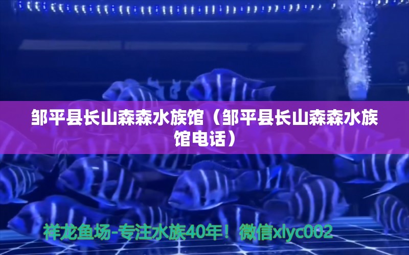 邹平县长山森森水族馆（邹平县长山森森水族馆电话） 全国水族馆企业名录