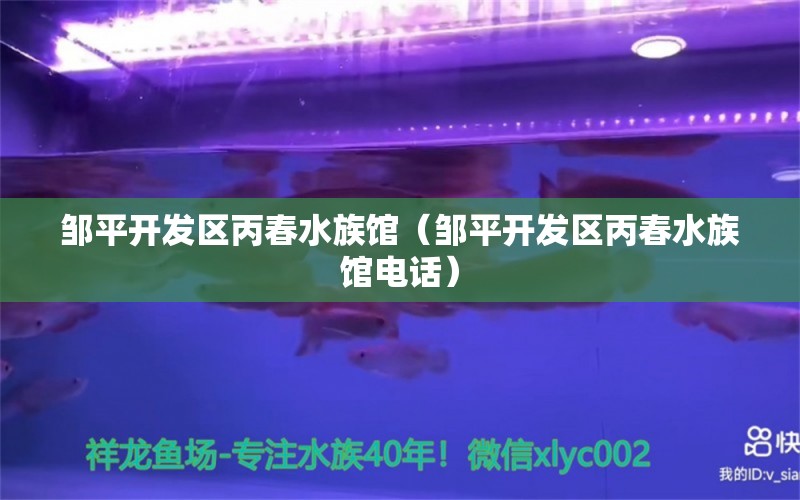 邹平开发区丙春水族馆（邹平开发区丙春水族馆电话） 全国水族馆企业名录