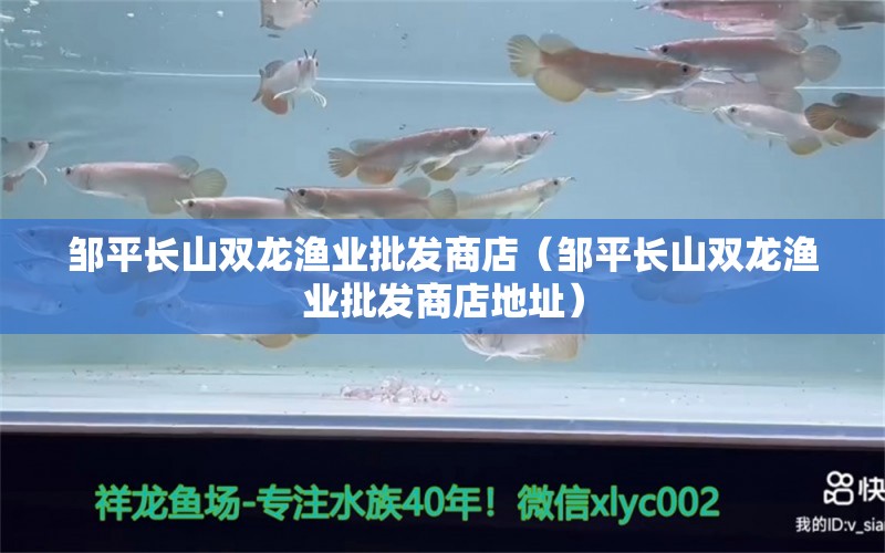 邹平长山双龙渔业批发商店（邹平长山双龙渔业批发商店地址） 全国水族馆企业名录